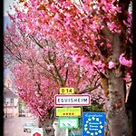 Lägenhet St Leon A Eguisheim