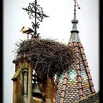 St Leon A * Eguisheim