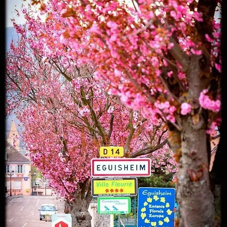 Διαμέρισμα St Leon A Eguisheim