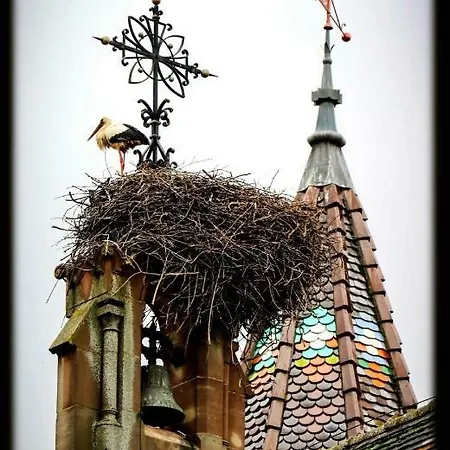 St Leon A * Eguisheim